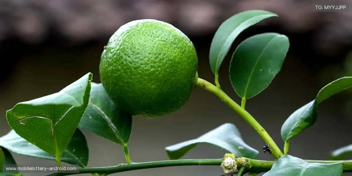 点燃创意火花,让每个像素都充满欢乐!🎮🌟